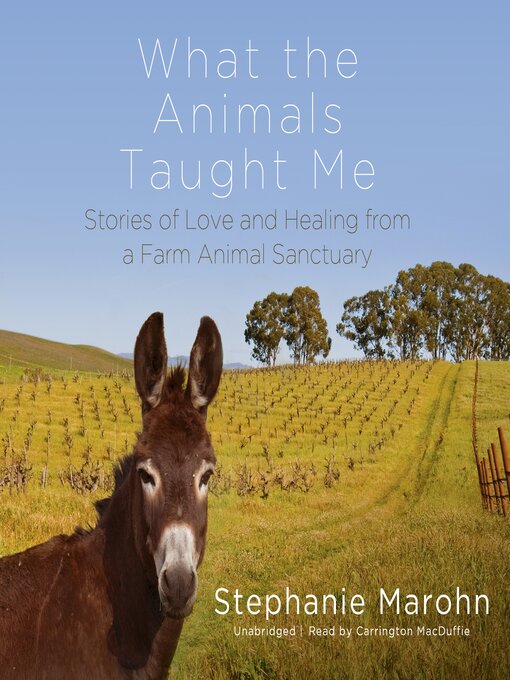 Title details for What the Animals Taught Me by Stephanie Marohn - Available